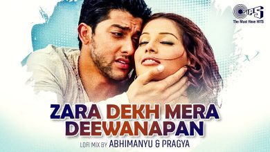 Zara Dekh Mera Deewanapan (Lofi Mix) Lyrics Alka Yagnik, Udit Narayan - Wo Lyrics