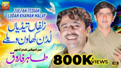 Zulfan Tedian Ludan Khawan Walay Lyrics Tahir Farooq - Wo Lyrics